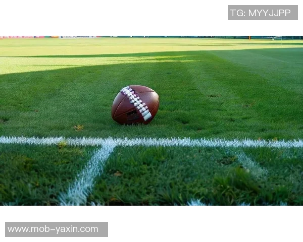 追逐梦想的绿茵场我的理想450足球之旅与成长故事